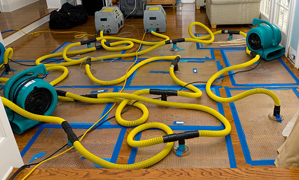 Professional Water Damage Repair technician working in Eastaboga, AL